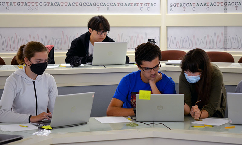 Students in the DNALC computer lab