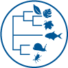 phylogenetic tree illustration