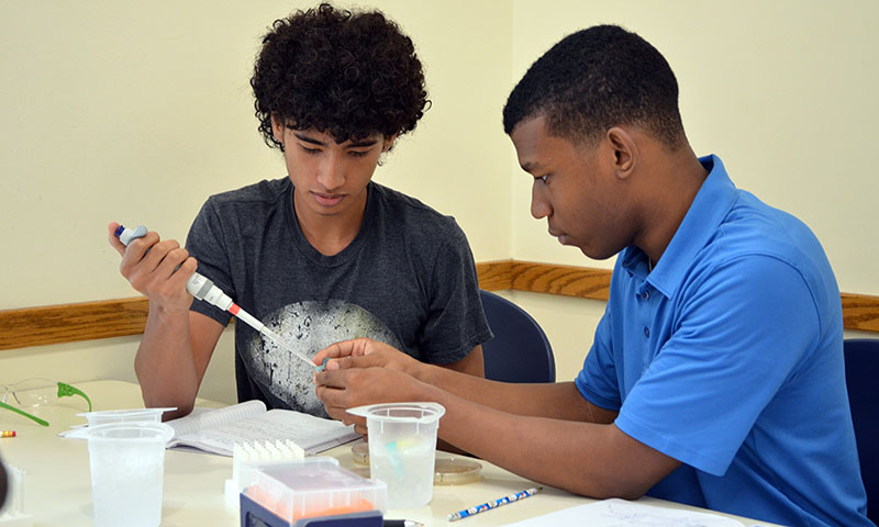 Two students working together to pipette samples