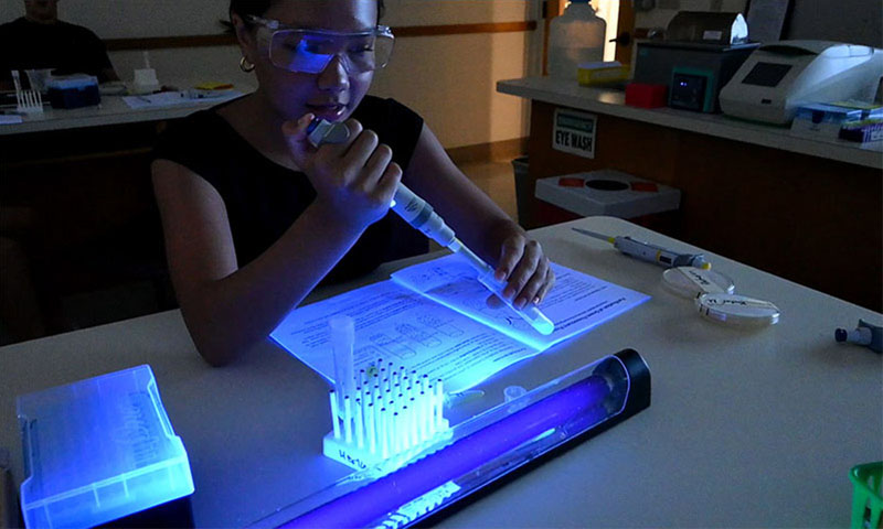 Student uses a pipet to draw glowing liquid from a test tube; the student is illuminated by a black light