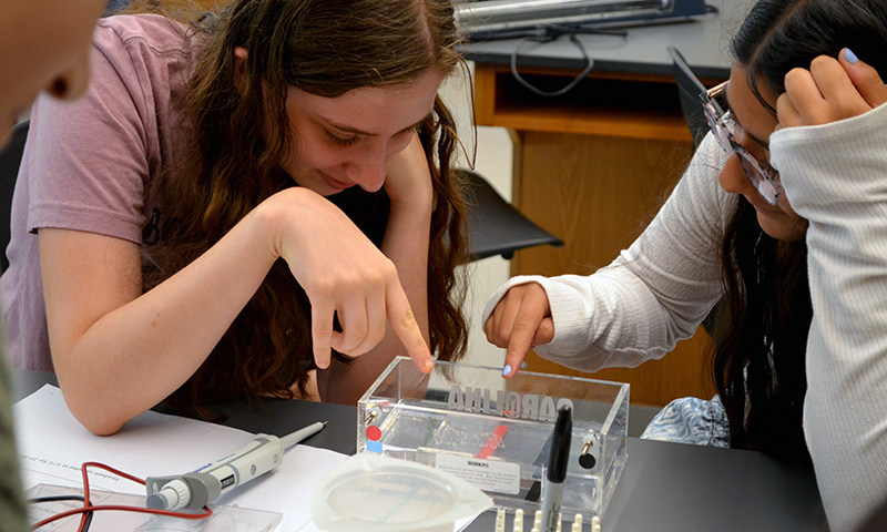 Students pointing at a clear gel electrophoresis chamber.