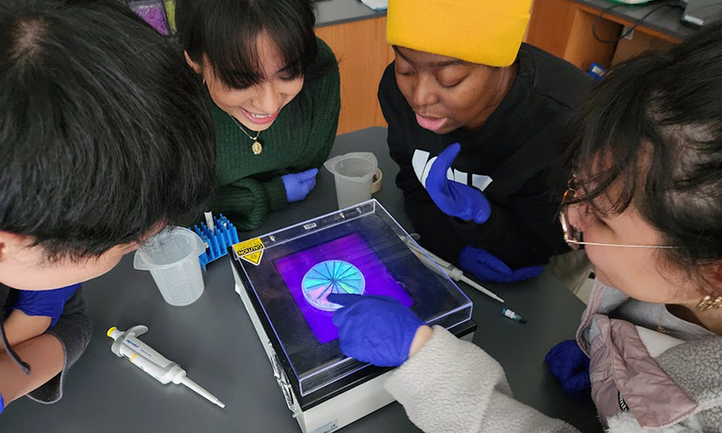 A group of students looking at a petri dish glowing under UV light